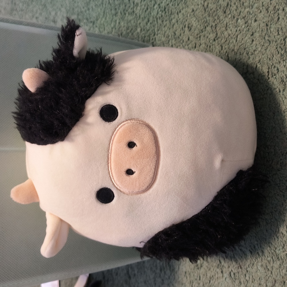 fuzzy conner squishmallow